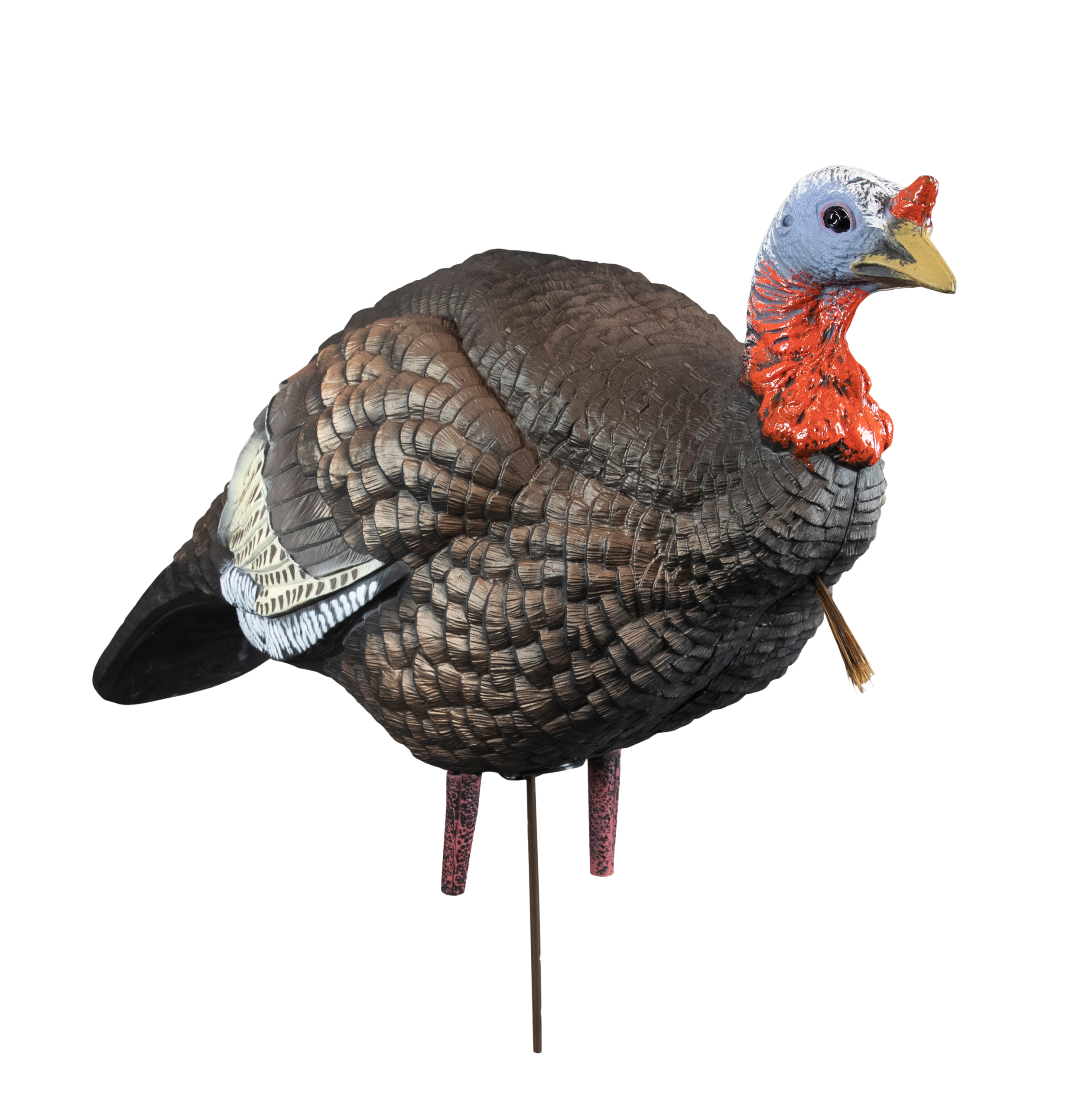 Hard Body 1/4 Strut Jake Turkey Decoy | The Real Grit