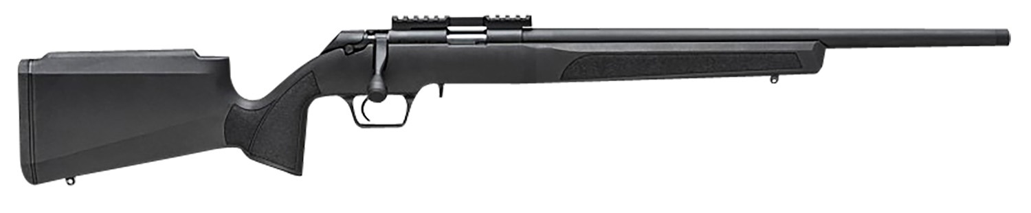 Model 2020 Rimfire Target 20