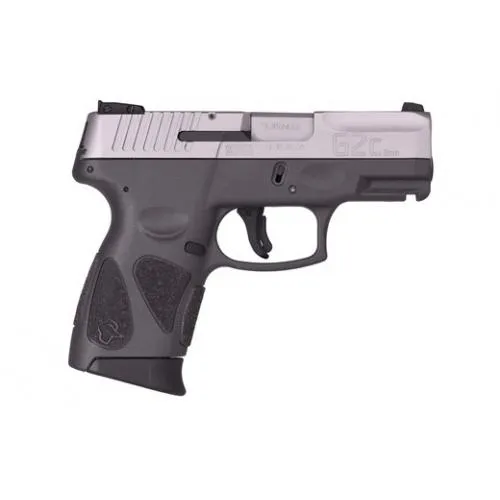 G2C  12 Round 9mm Pistol - Stainless Steel Slide/Gray Frame