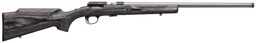 025236204