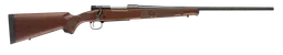 535200264