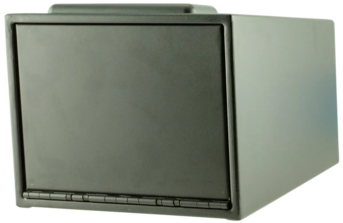 Magnum Biometric Vault