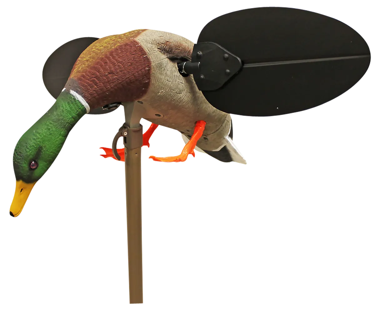 Mojo Mallard Drake Duck Decoy