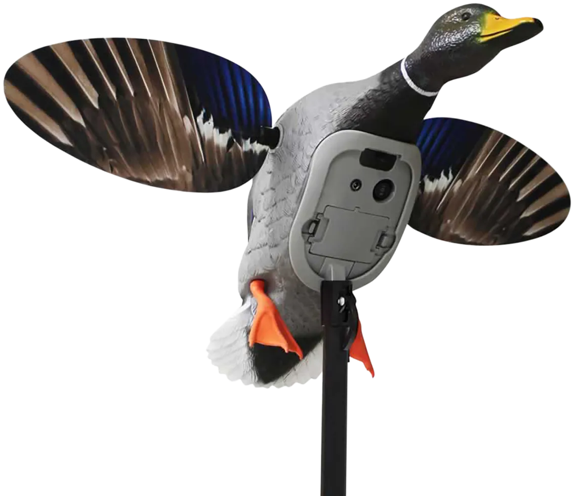 Mojo Elite Series King Mallard Duck Decoy