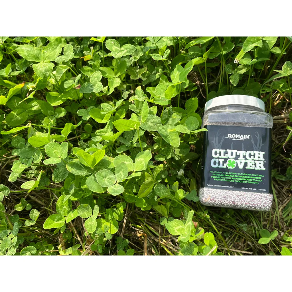 Domain Clutch Clover Seed - 1/4 Acre