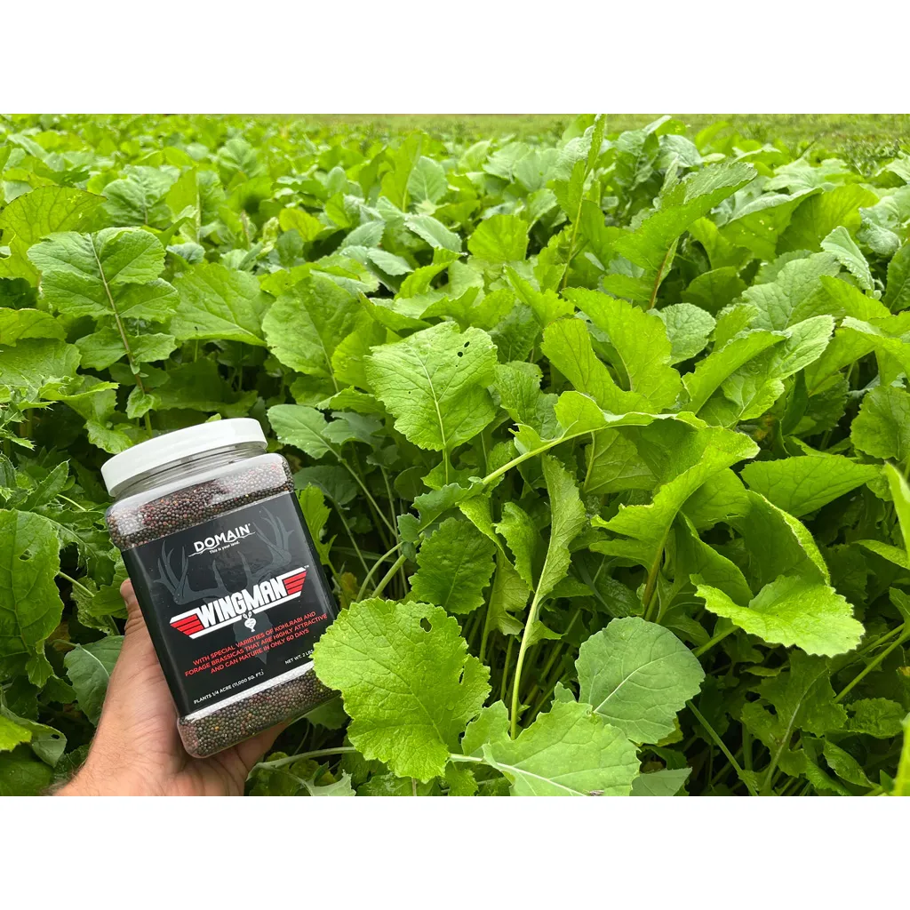 Domain Wingman Seed - 1/4 Acre