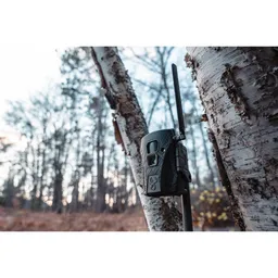 Wildgame Terra Xt 2.0 24MP Cellular Camera - Lifestyle